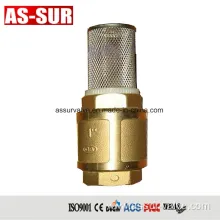 Brass Water Check Valves with Stainless Steel Net